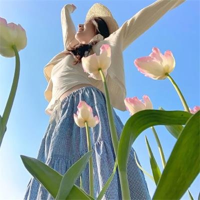 蒲公英的灰尘