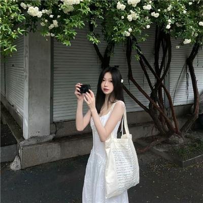 被驱逐的馆长